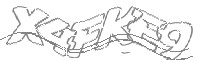 Check code